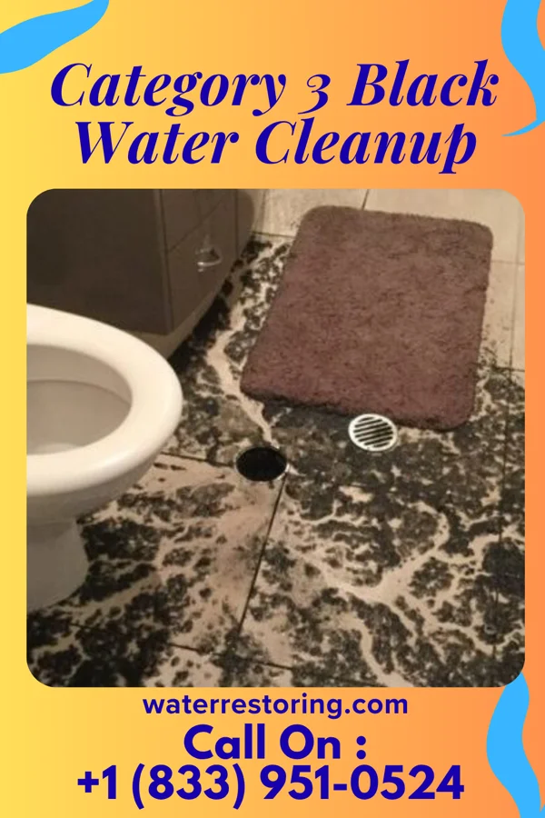 Category 3 Black Water Cleanup in Lake Tanglewood, TX